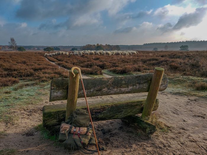 Wandelen Bankje van Bas
